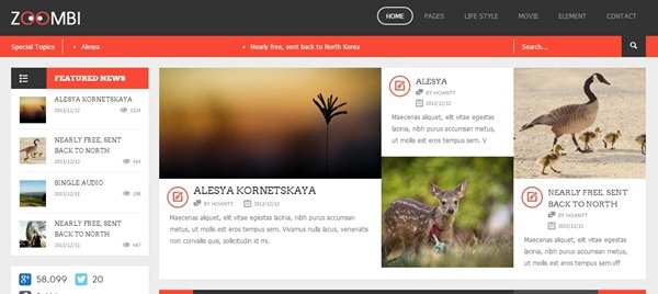 wordpress themes