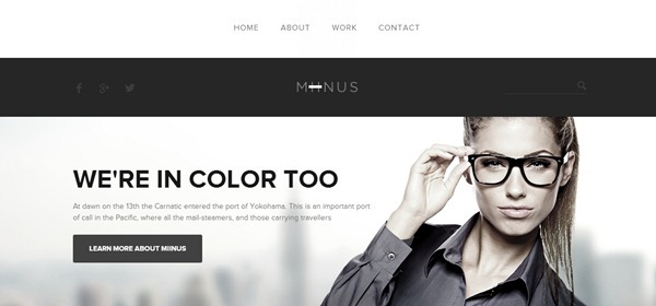 wordpress themes