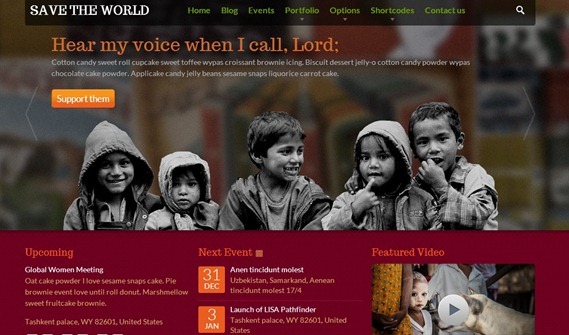 non profit wordpress themes