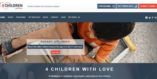 non profit wordpress themes