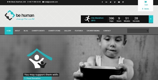 non profit wordpress themes