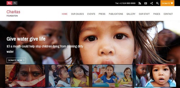 non profit wordpress themes