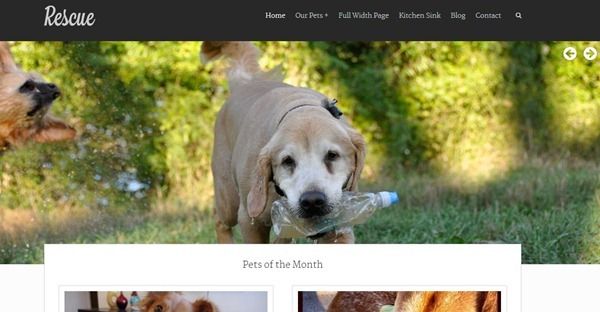 non profit wordpress themes