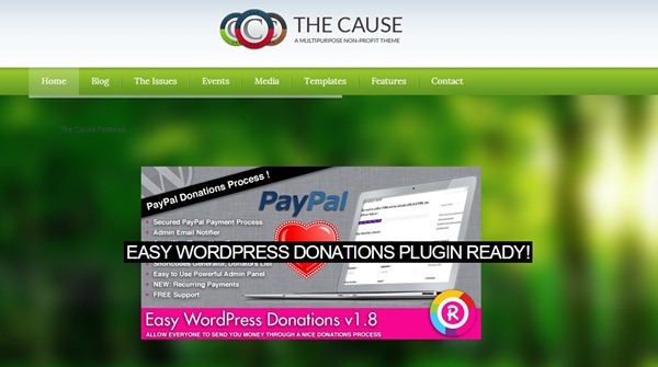 non profit wordpress themes