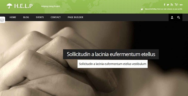 non profit wordpress themes