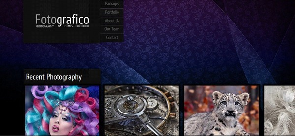 photography website templates