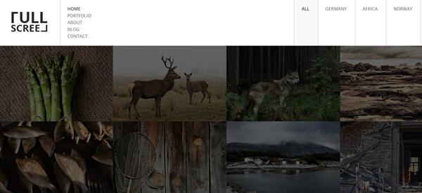 photography website templates