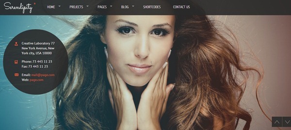 photography website templates