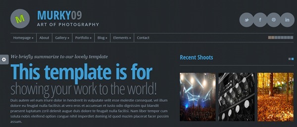 photography website templates