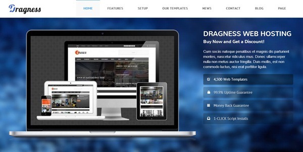 wordpress themes