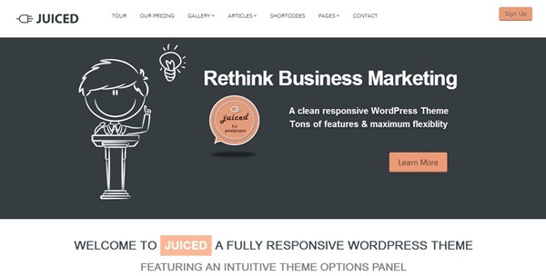 wordpress themes