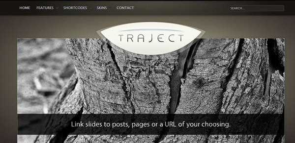 wordpress themes