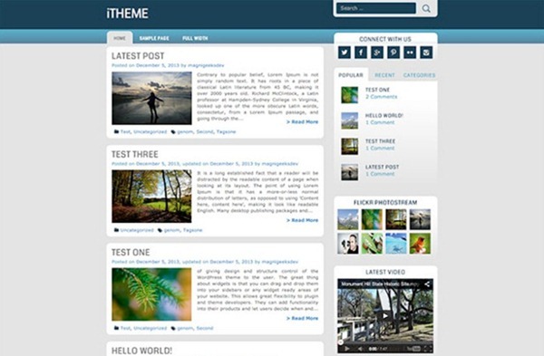 wordpress themes