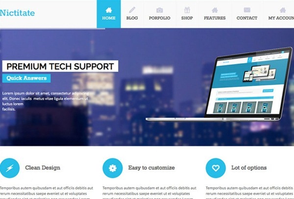 wordpress themes