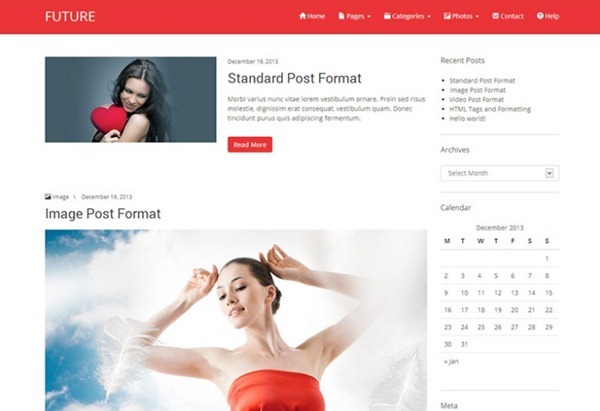 wordpress themes