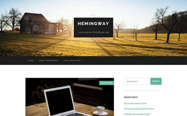 wordpress themes