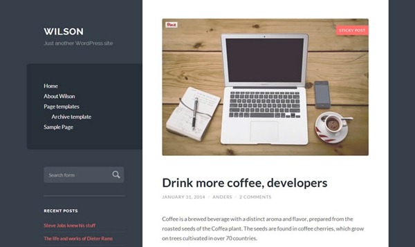 responsive wordpress theme