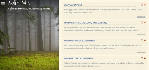 responsive wordpress theme