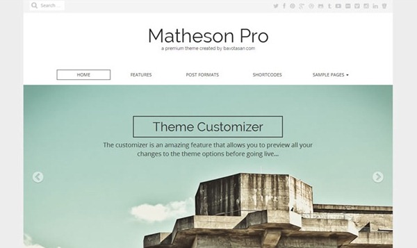 responsive wordpress theme