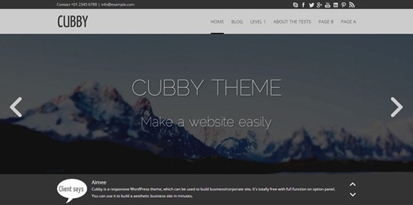 responsive wordpress theme