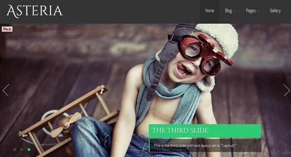 responsive wordpress theme