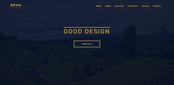 wordpress themes