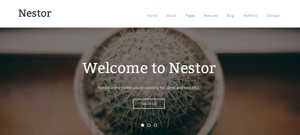 wordpress themes