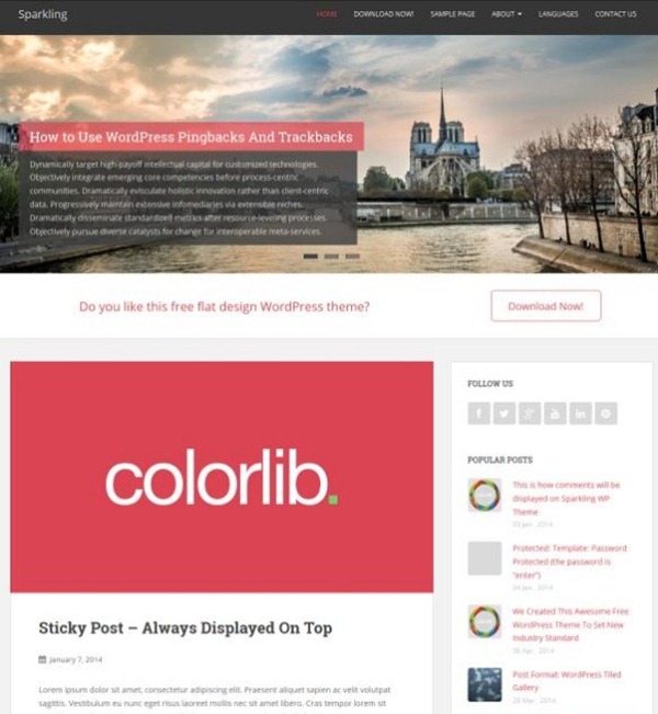 wordpress themes