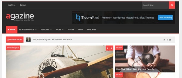 wordpress themes