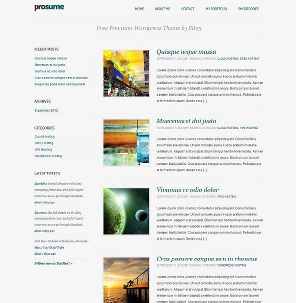 wordpress themes