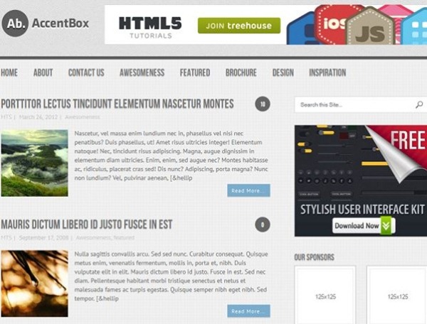 wordpress themes