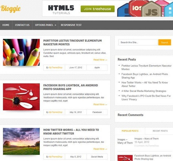 wordpress themes