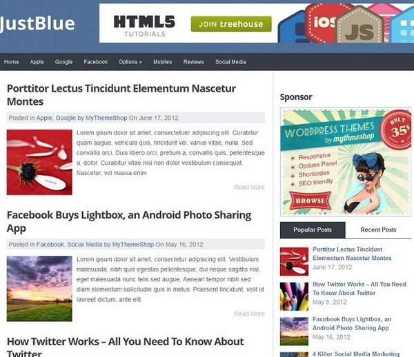 wordpress themes