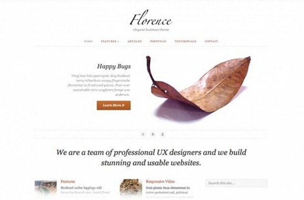 wordpress themes