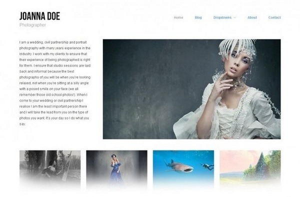 wordpress themes