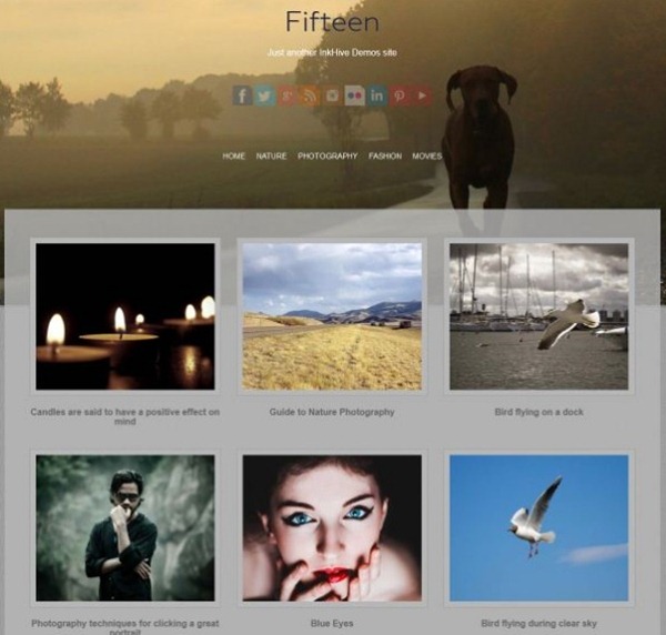 wordpress themes