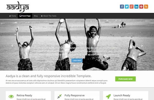 wordpress themes